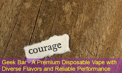 Geek Bar - A Premium Disposable Vape with Diverse Flavors and Reliable Performance