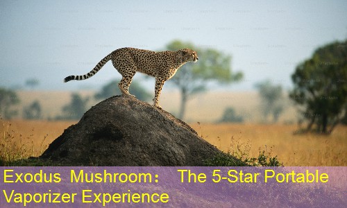 Exodus Mushroom： The 5-Star Portable Vaporizer Experience